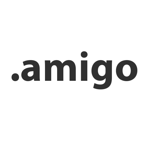 Register domain in the zone .amigo