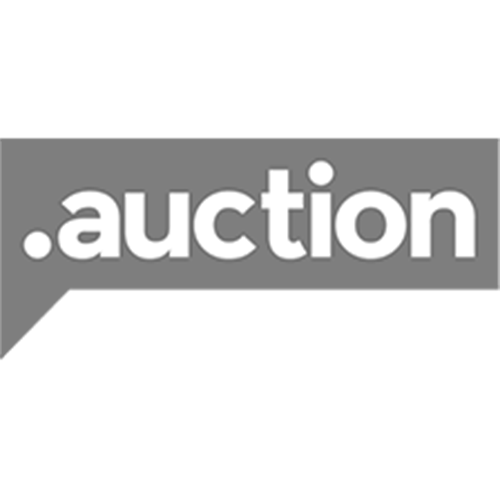 Register domain in the zone .auction