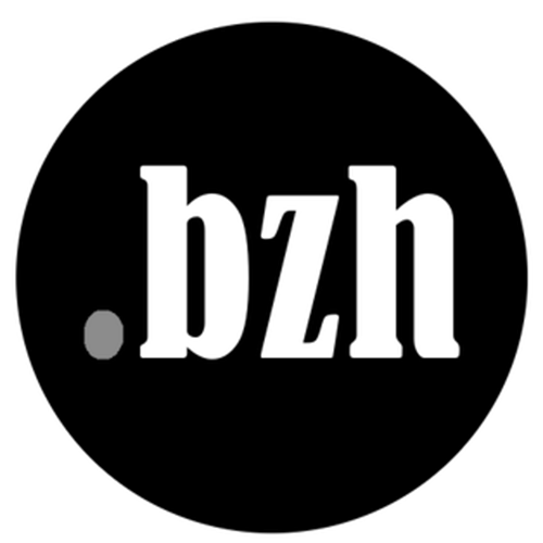 Register domain in the zone .bzh