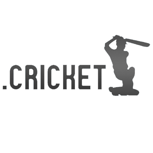 Register domain in the zone .cricket