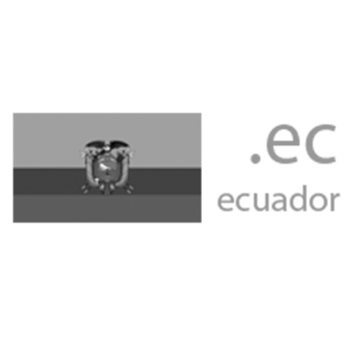 Register domain in the zone .ec