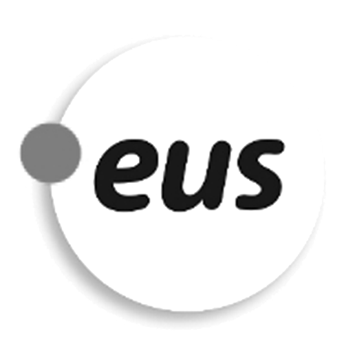 Register domain in the zone .eus