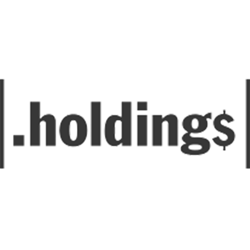 Register domain in the zone .holdings