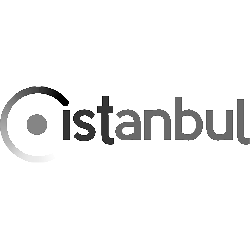 Register domain in the zone .istanbul