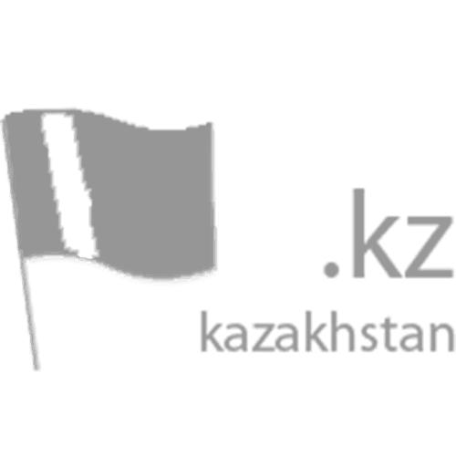 Register domain in the zone .kz