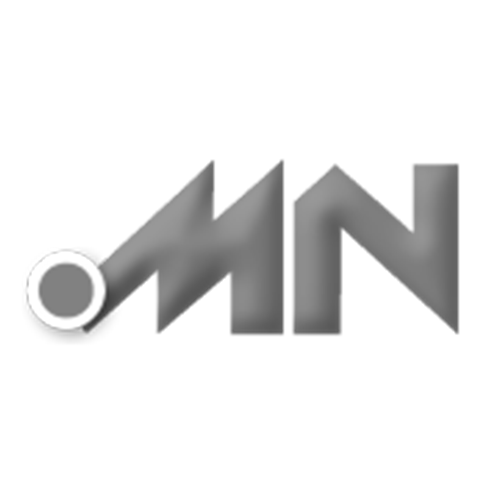 Register domain in the zone .mn