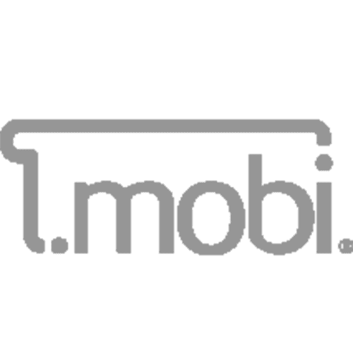 Register domain in the zone .mobi