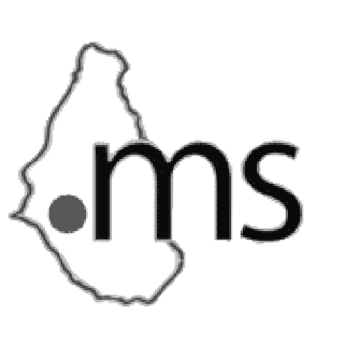 Register domain in the zone .ms