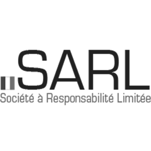 Register domain in the zone .sarl