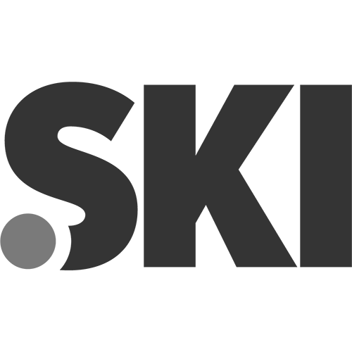 Register domain in the zone .ski