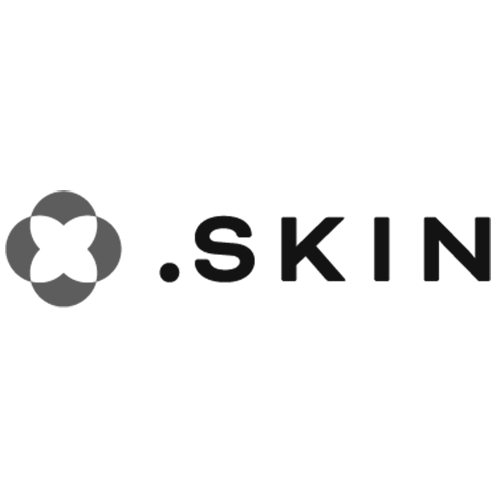 Register domain in the zone .skin