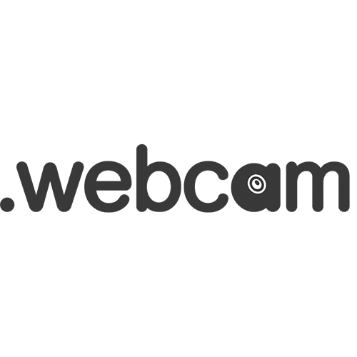 Register domain in the zone .webcam