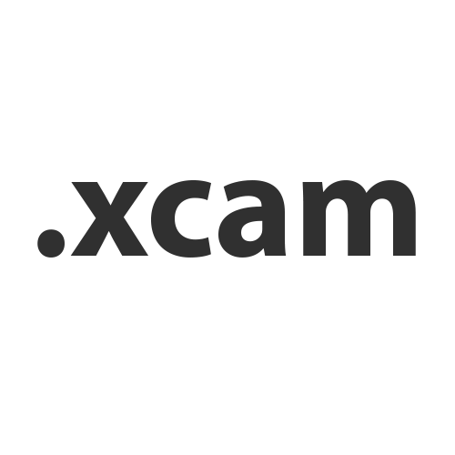 Register domain in the zone .xcam