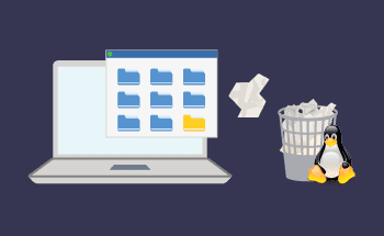 How to Protect Files and Folders from Deletion on Linux