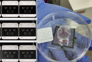 Building data centers from human brain cells