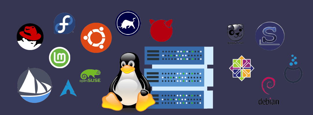 Which Linux distribution is best to install on a server in 2022