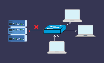 Automatic Private IP Addressing (APIPA): Definition, Functionality, and Use Cases