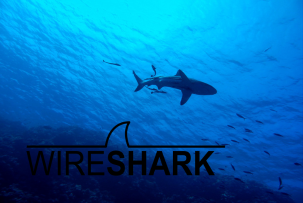 Wireshark 4.4.7 release
