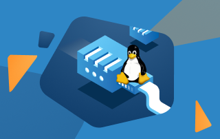 Finding the Process Using or Blocking a Specific Port on Linux