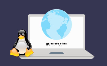 Quick Guide to Setting a Temporary Static IP Address in Linux