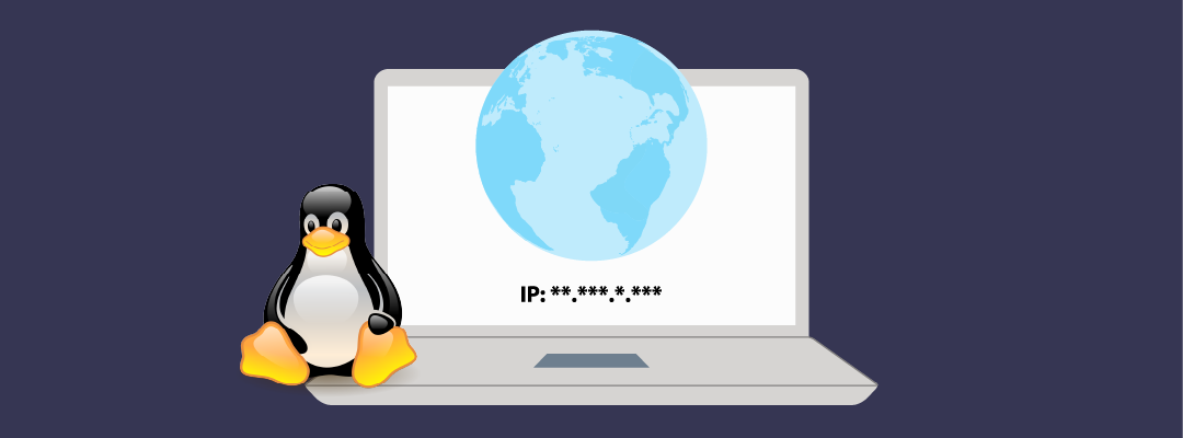 Quick Guide to Setting a Temporary Static IP Address in Linux