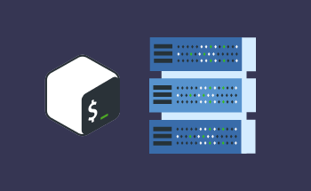 Incorporating rm Commands into Bash Scripts