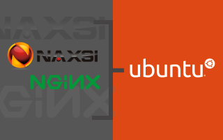 Step-by-step Guide to Installing and Configuring NAXSI Nginx WAF on Ubuntu 18.04 LTS